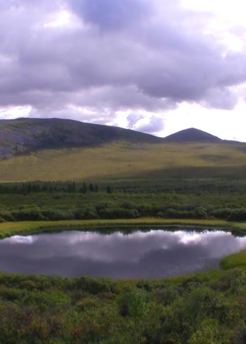 Pond