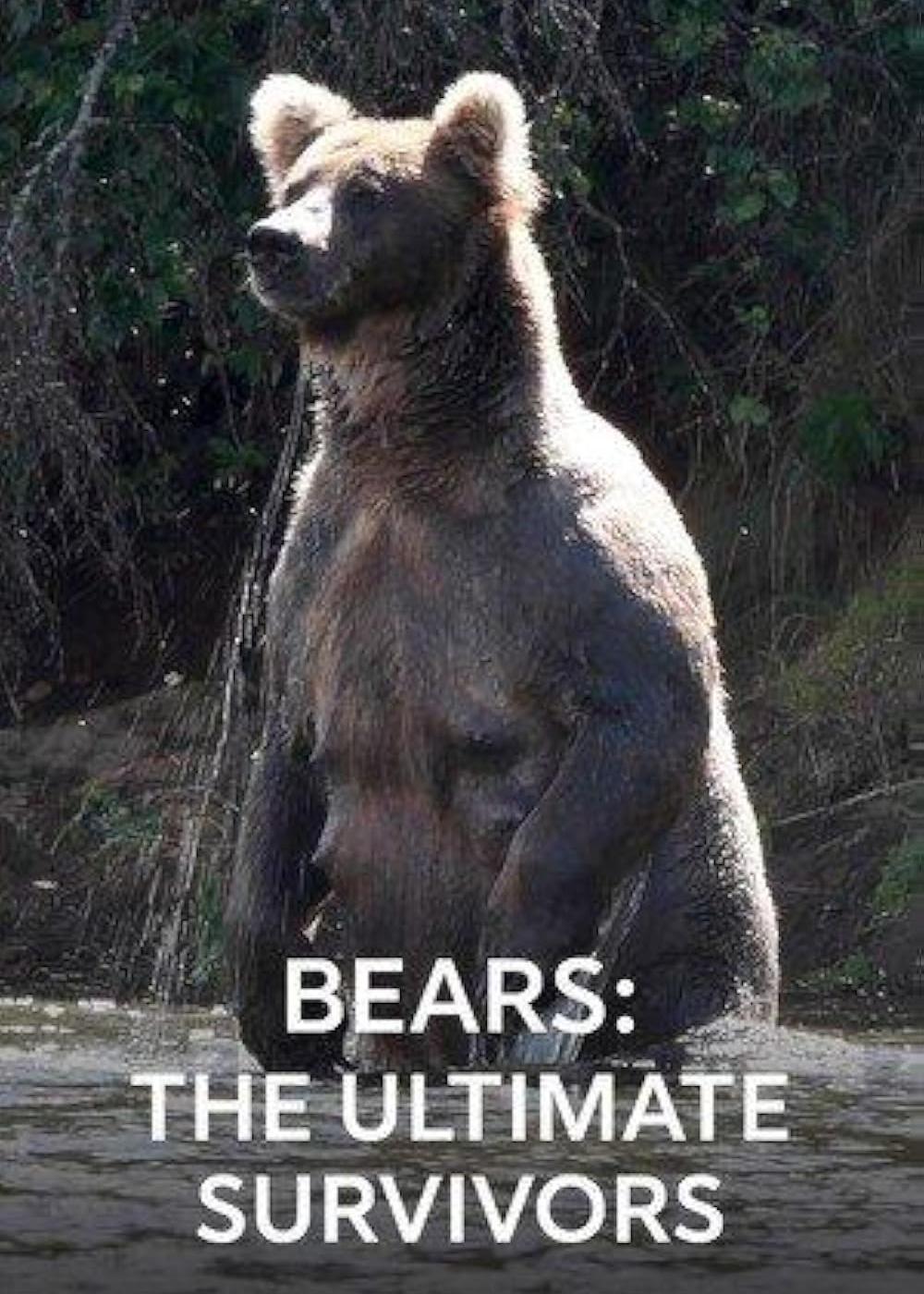 Bears: Ultimate Survivors